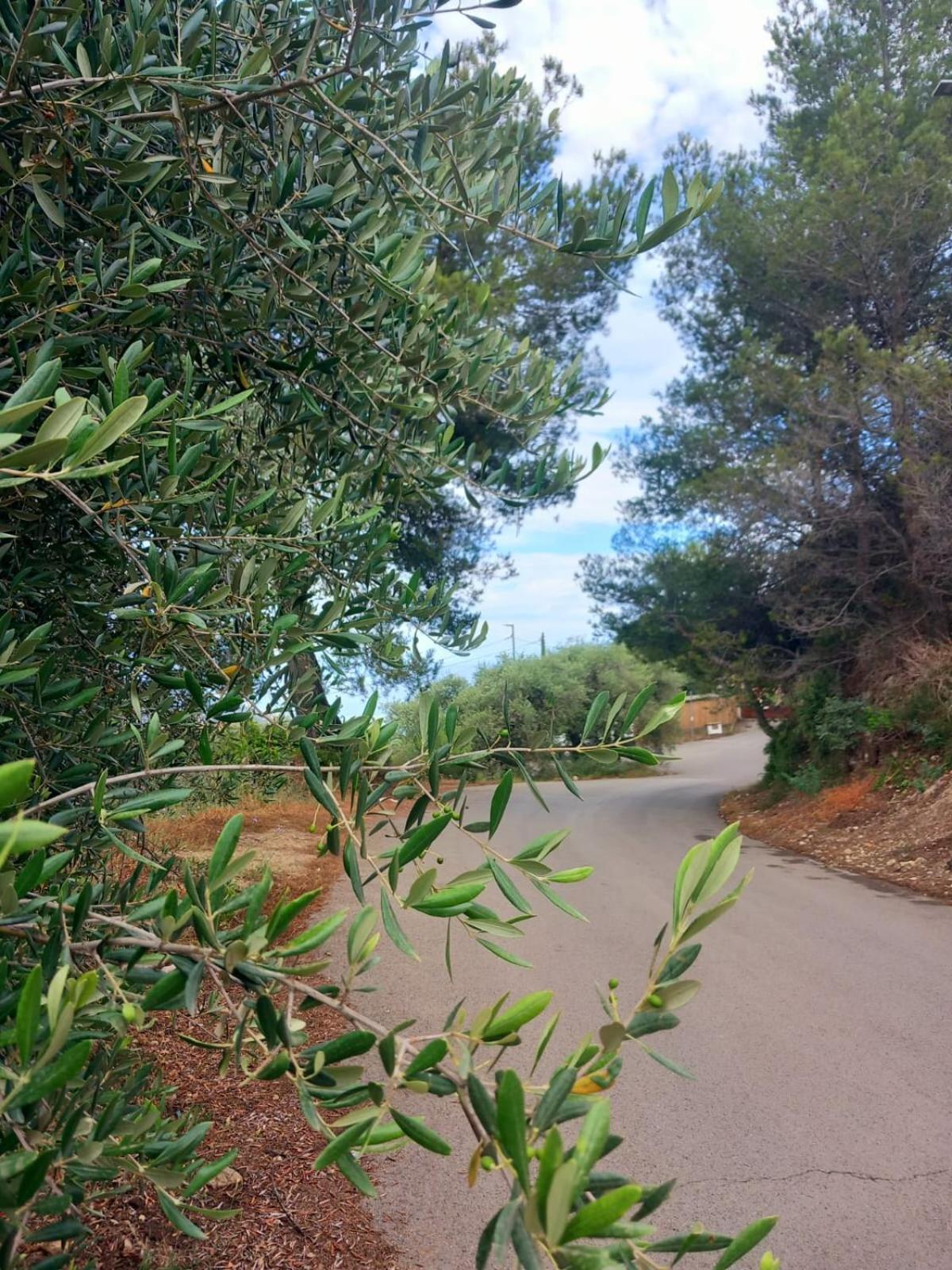 Dolci Risvegli Appartamento Vista Mare Ventimiglia Kültér fotó