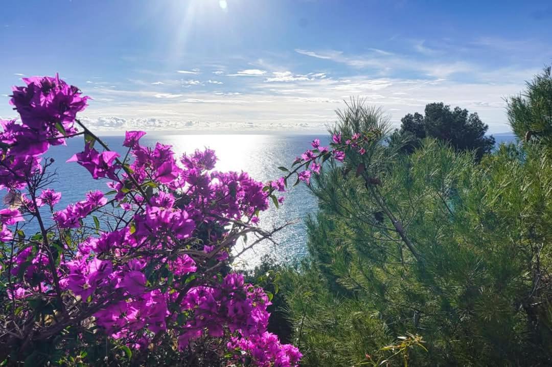 Dolci Risvegli Appartamento Vista Mare Ventimiglia Kültér fotó