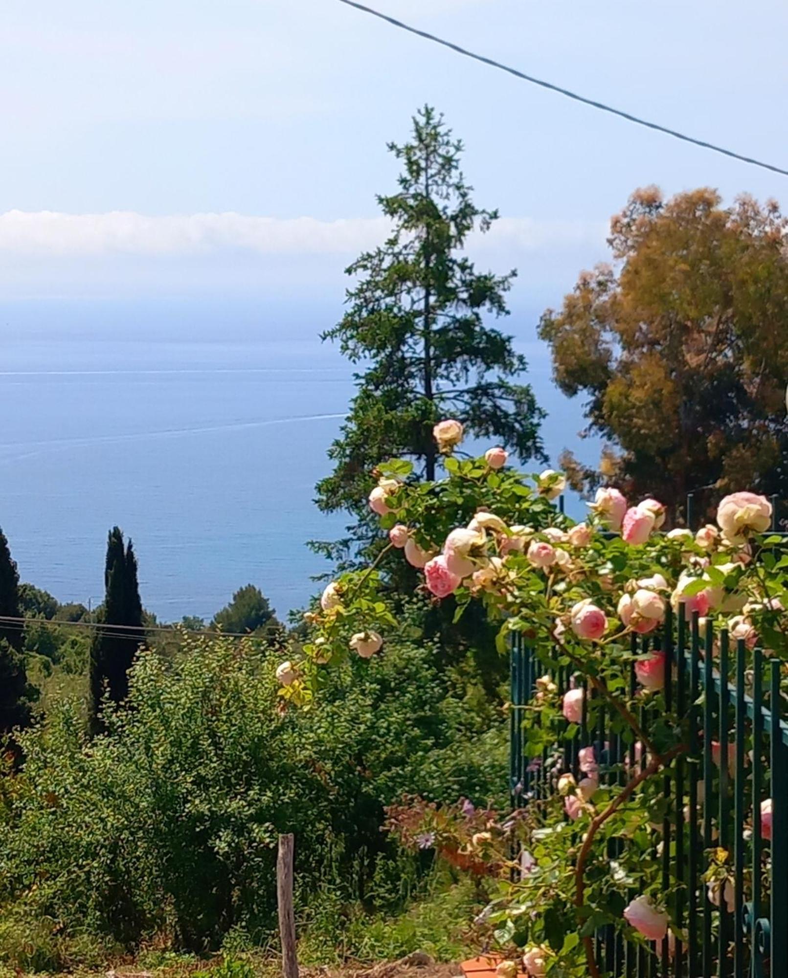 Dolci Risvegli Appartamento Vista Mare Ventimiglia Kültér fotó